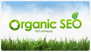 Organic SEO Services: 100% All Natural