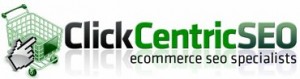 Ecommerce SEO Company